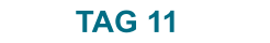 TAG 11